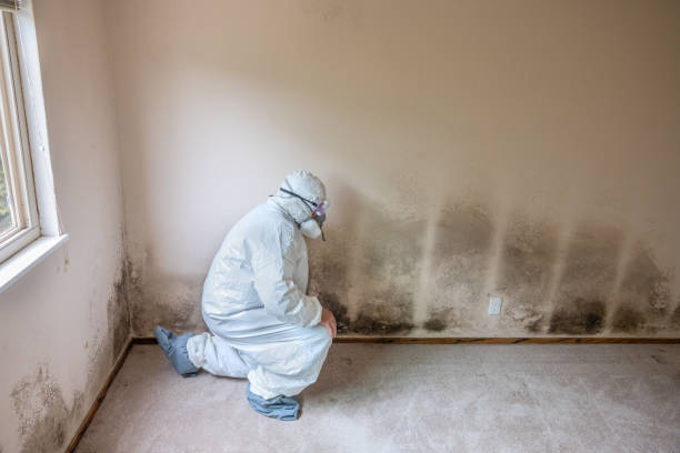 Mold Removal for HVAC Installations in Wurtsboro, NY